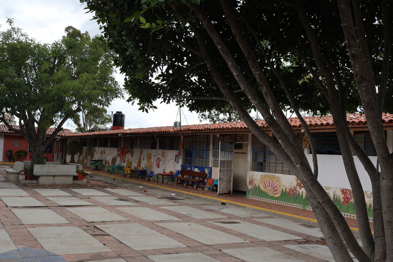 Patio central y árboles de Casa Hogar Mexiquito