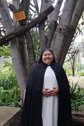 Sor Imelda Castro Cervantes, identified in the institutional document